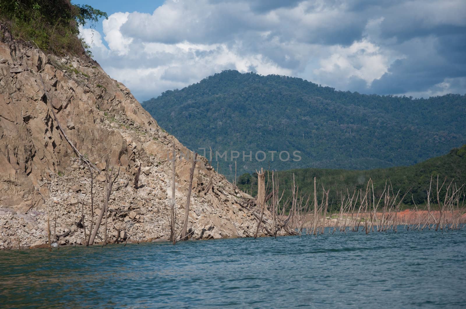 Balahala Forest in yala, thailand - Balahala forest is most perfectly forest in South of Thailand