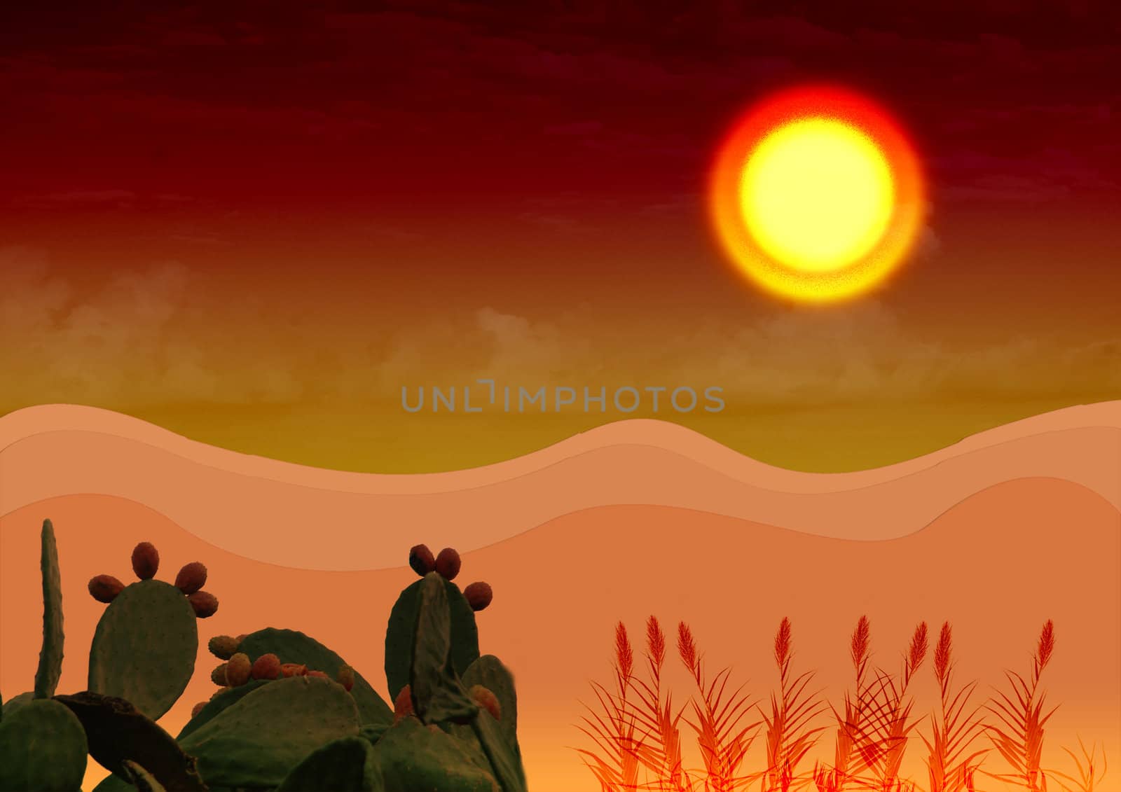 Hot southern landscape under the red sun