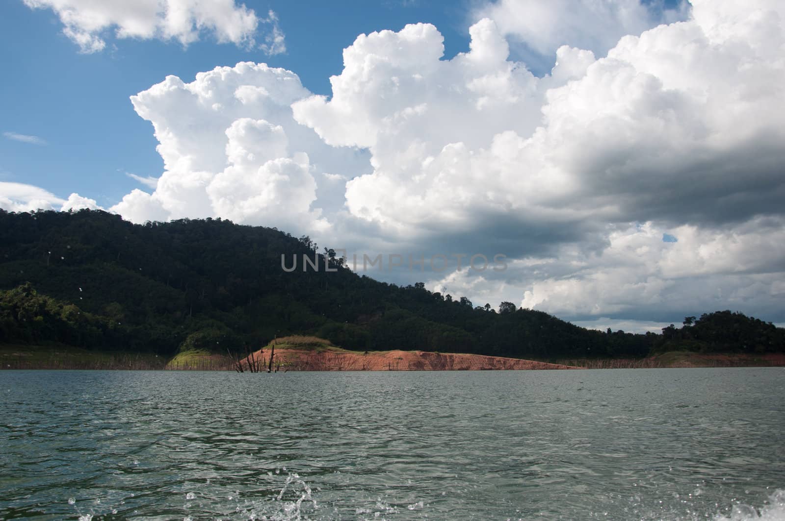 Balahala Forest in yala, thailand - Balahala forest is most perfectly forest in South of Thailand