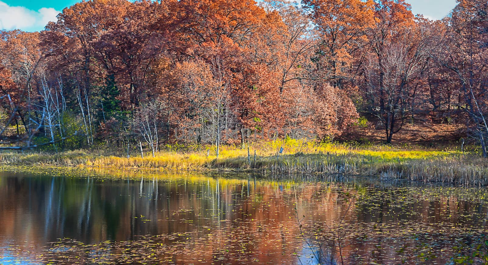 Indian Summer in Rural Minnesota by wolterk
