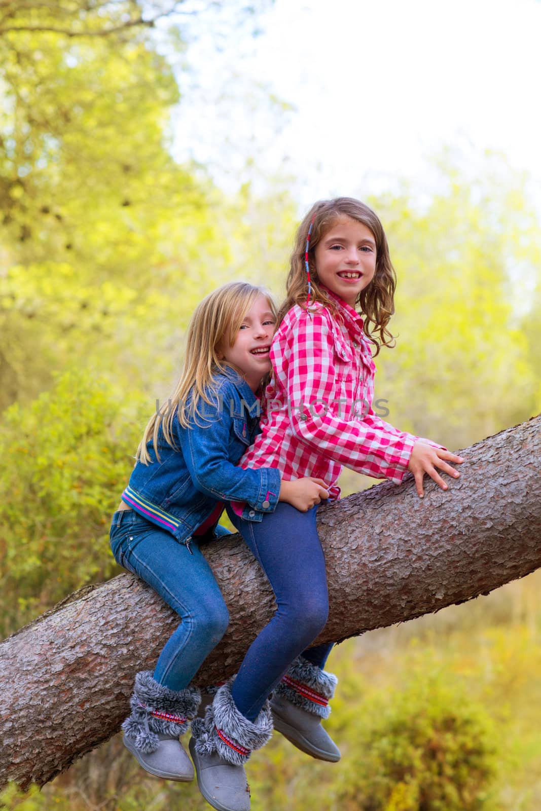 children friends girls climbing to a pine tree trunk by lunamarina