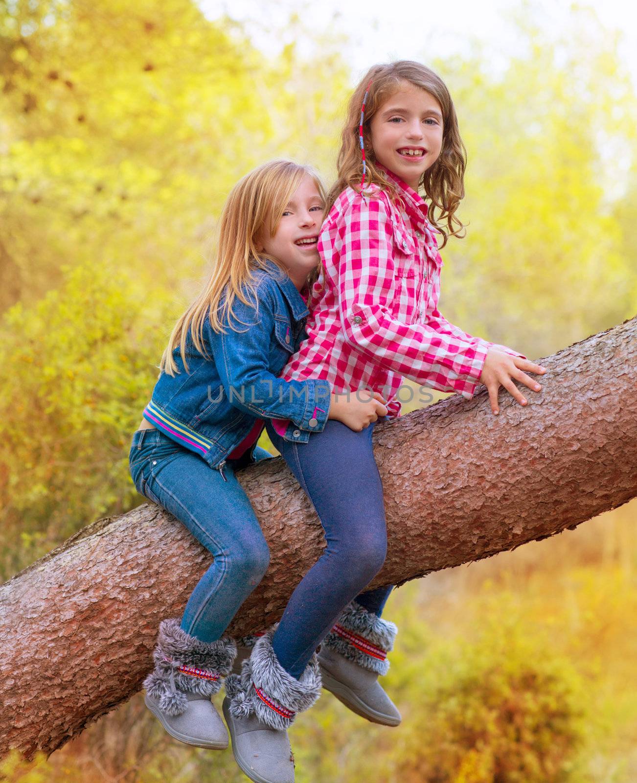 children friends girls climbing to a pine tree trunk in golden forest