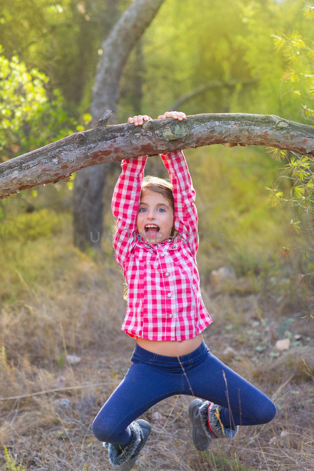 children girl swinging in a tree trunk in a pine forest
