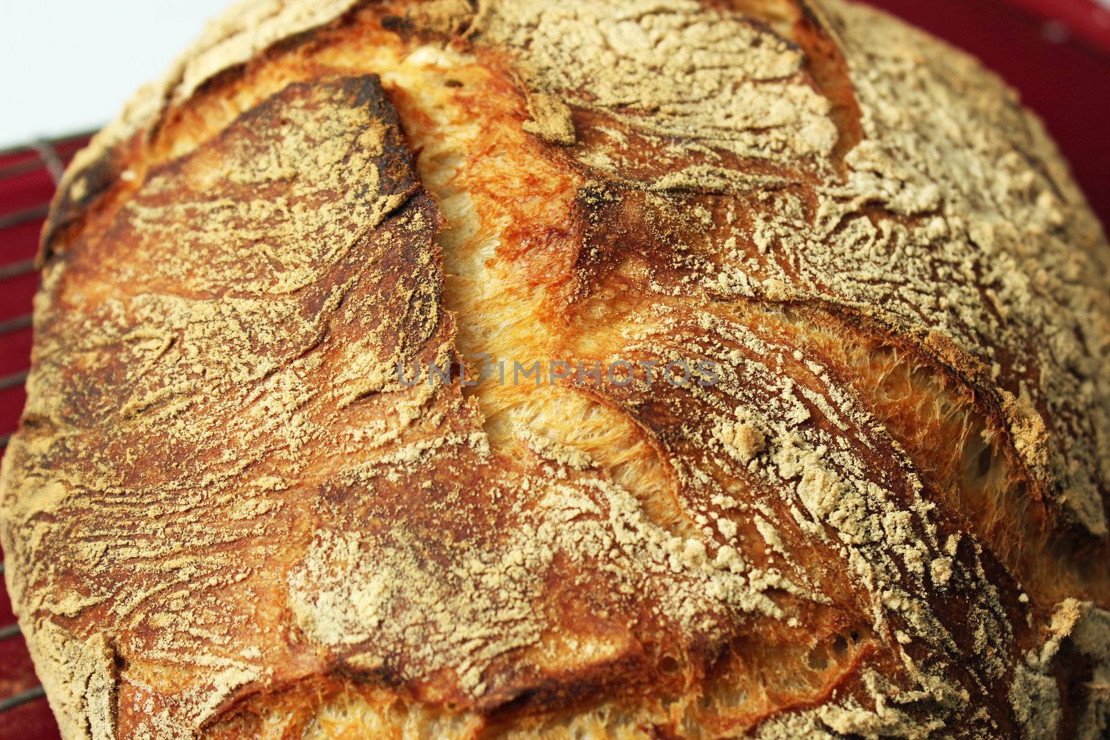 Closeup of Artisan Bread by mahnken