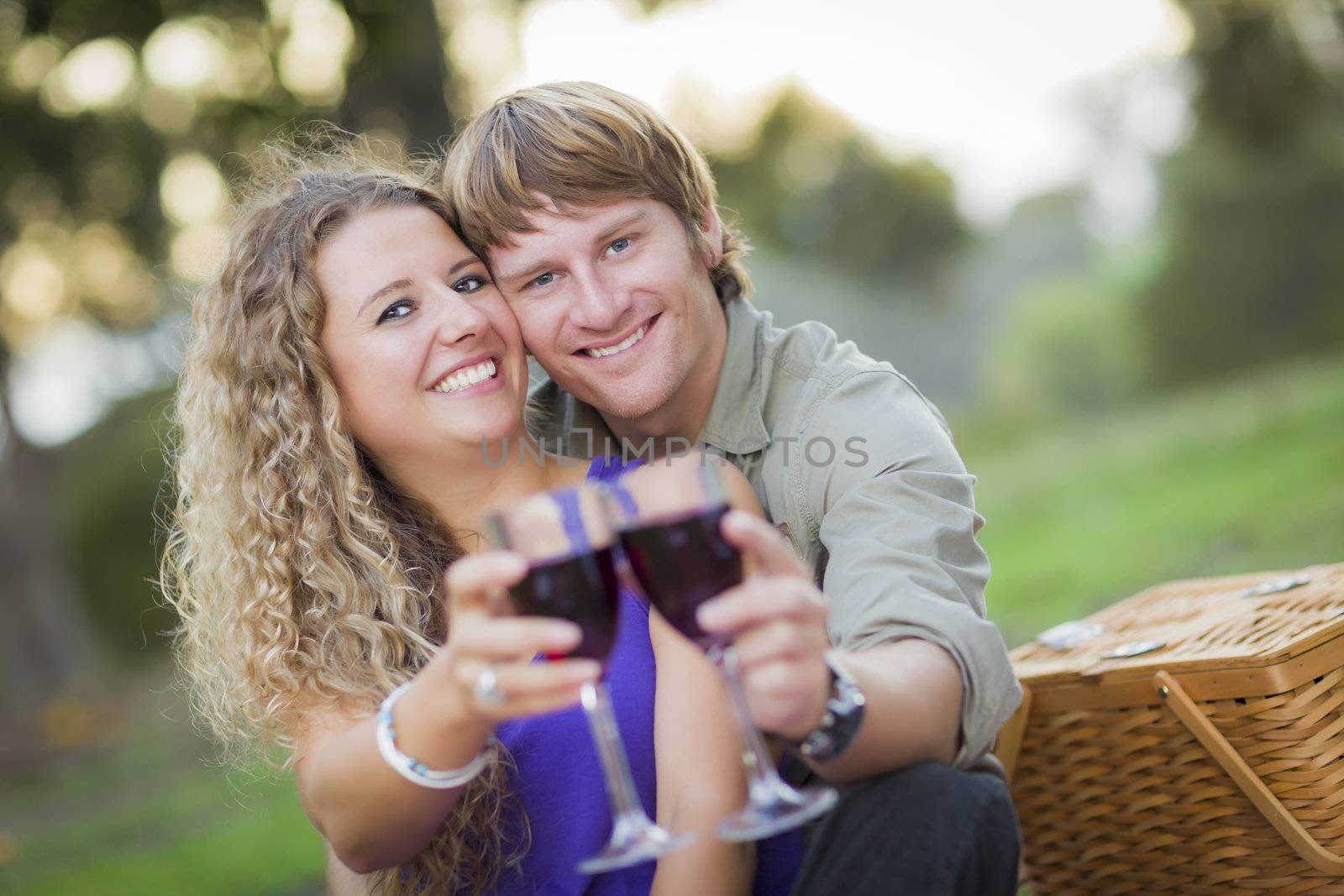 An Attractive Couple Enjoying A Glass Of Wine in the Park by Feverpitched