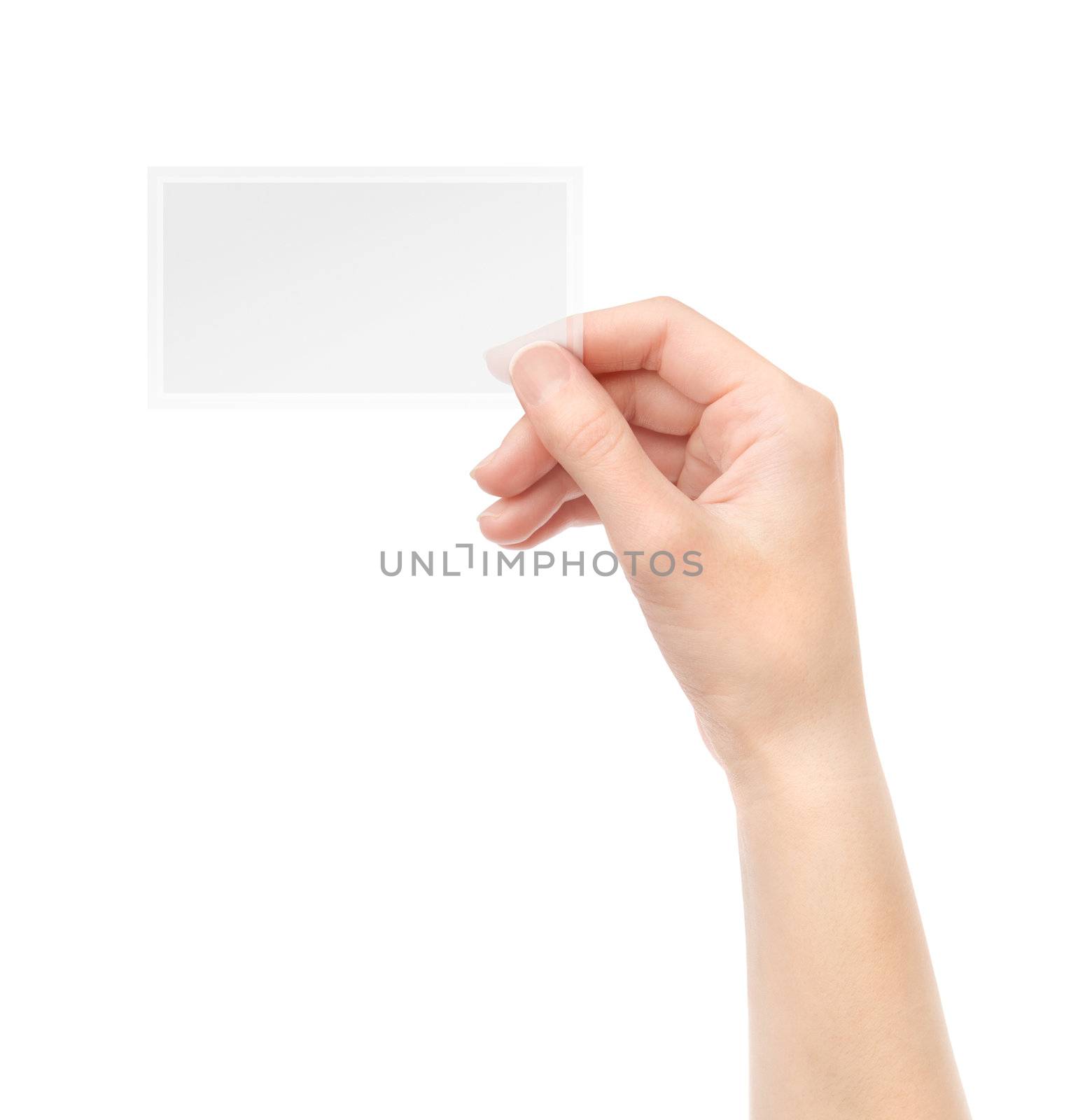 Female hand holding blank transparent business card in hand. Isolated on white.