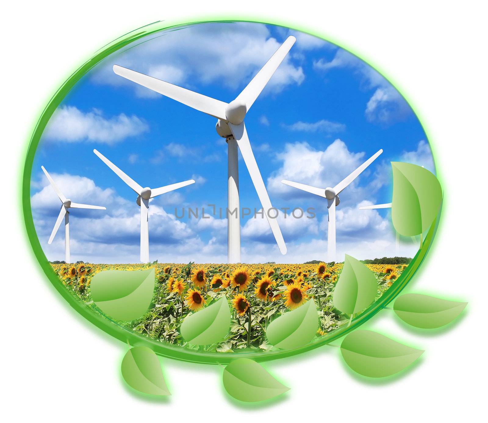 circle of green leaves that surround multiple wind turbines online on cloudy sky background in a field of sunflowers