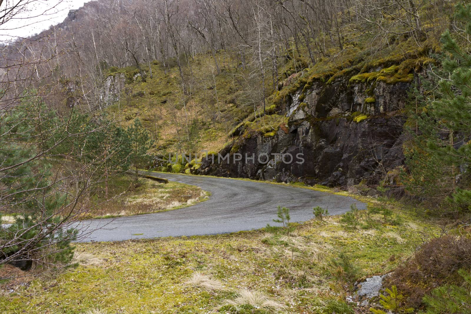 run-down road in rural landscape by gewoldi