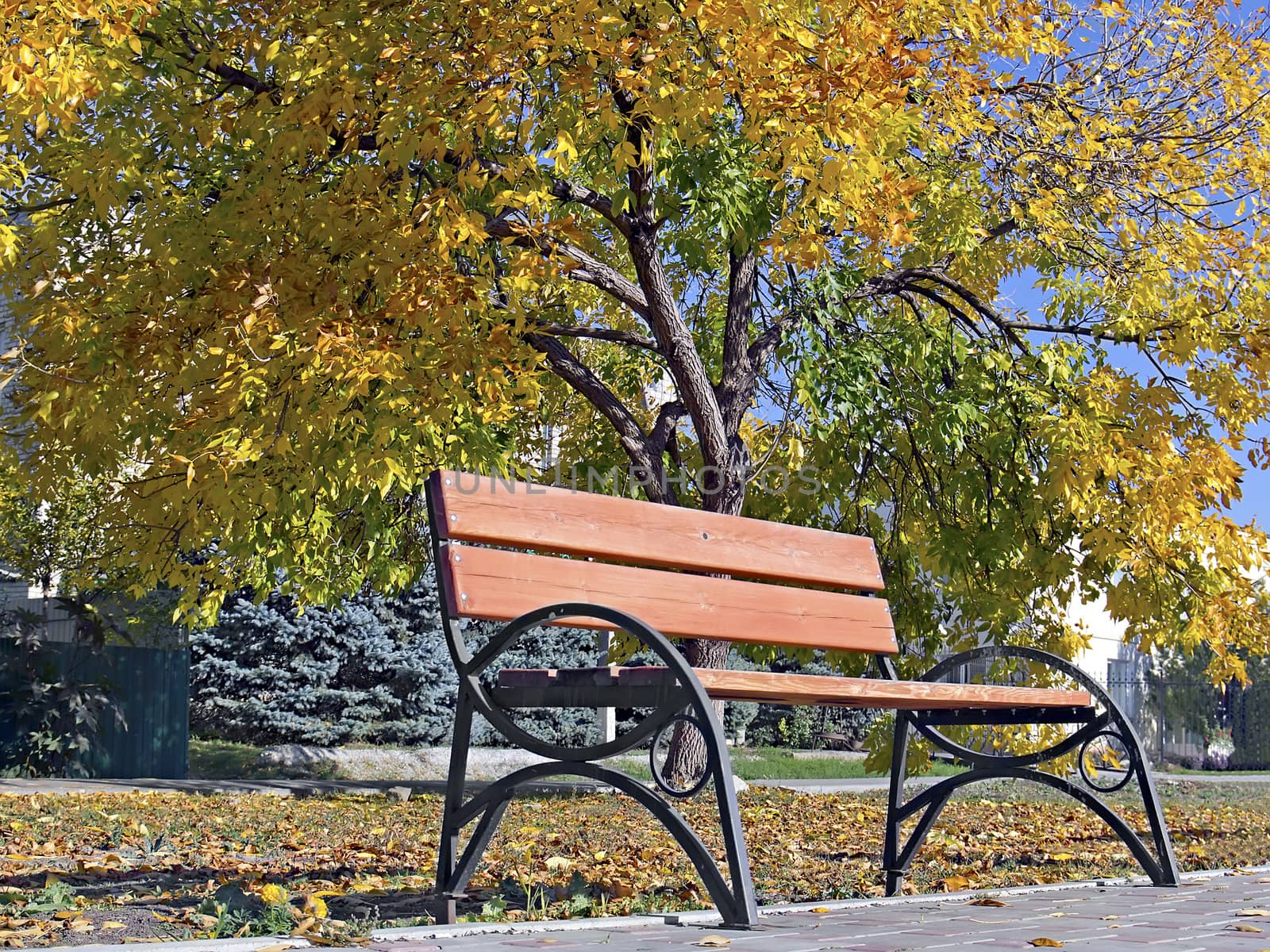 benches for rest in the autumn park by Plus69