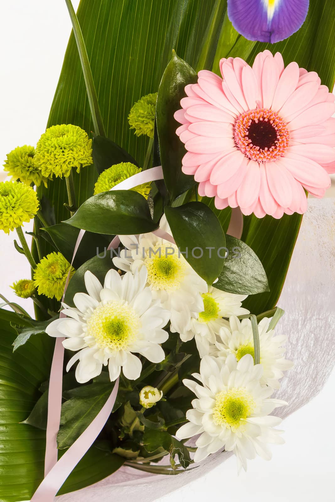 fresh flower bouquet with gerber on white background 