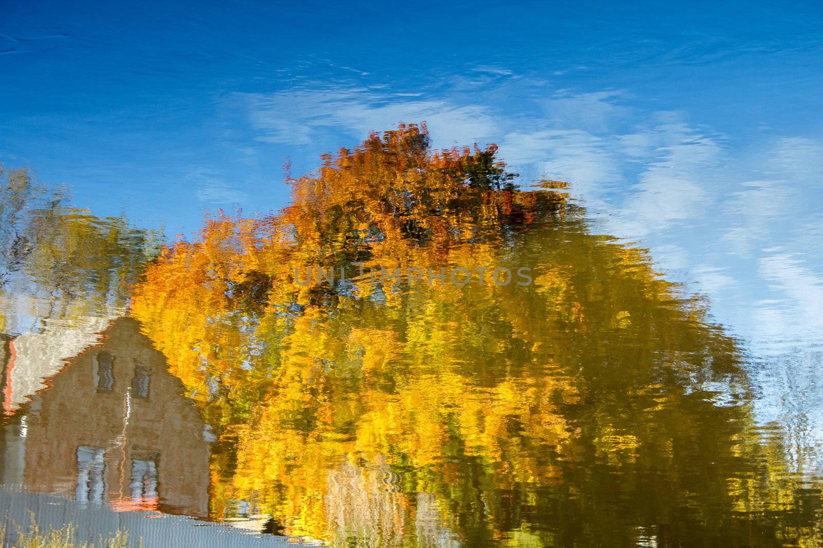 Realistic rural water reflection in the pond rotated 180 degrees