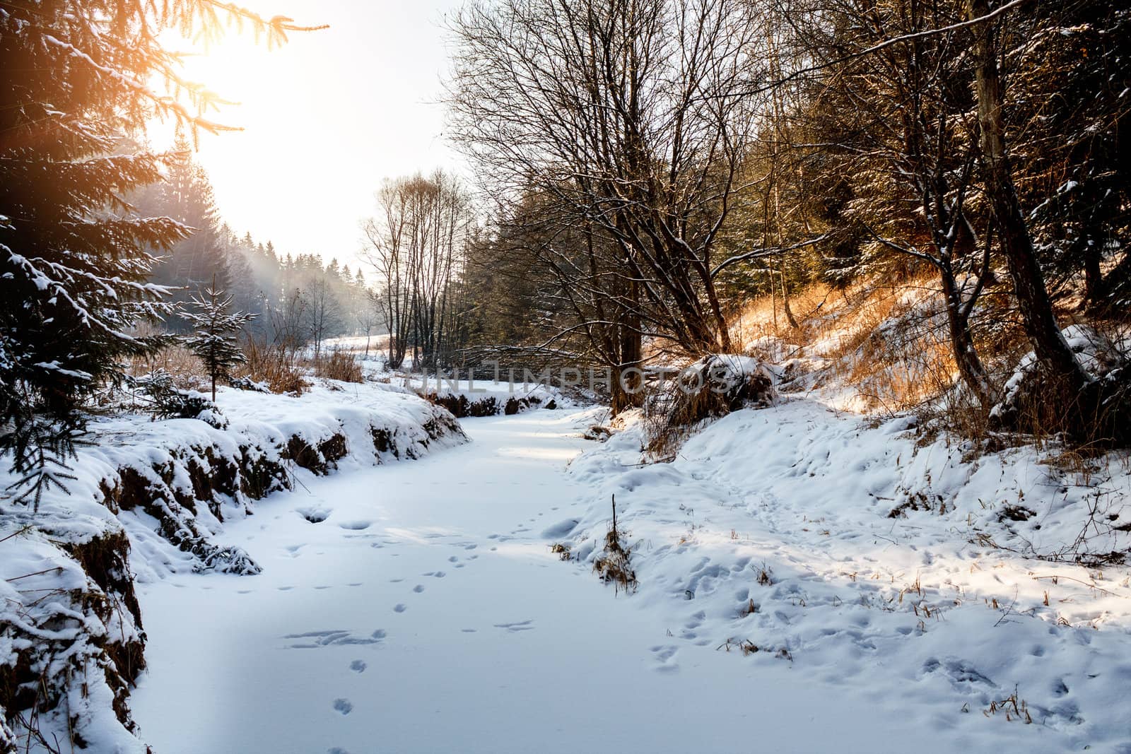 Sunny morning in winter landscape with frozen creek