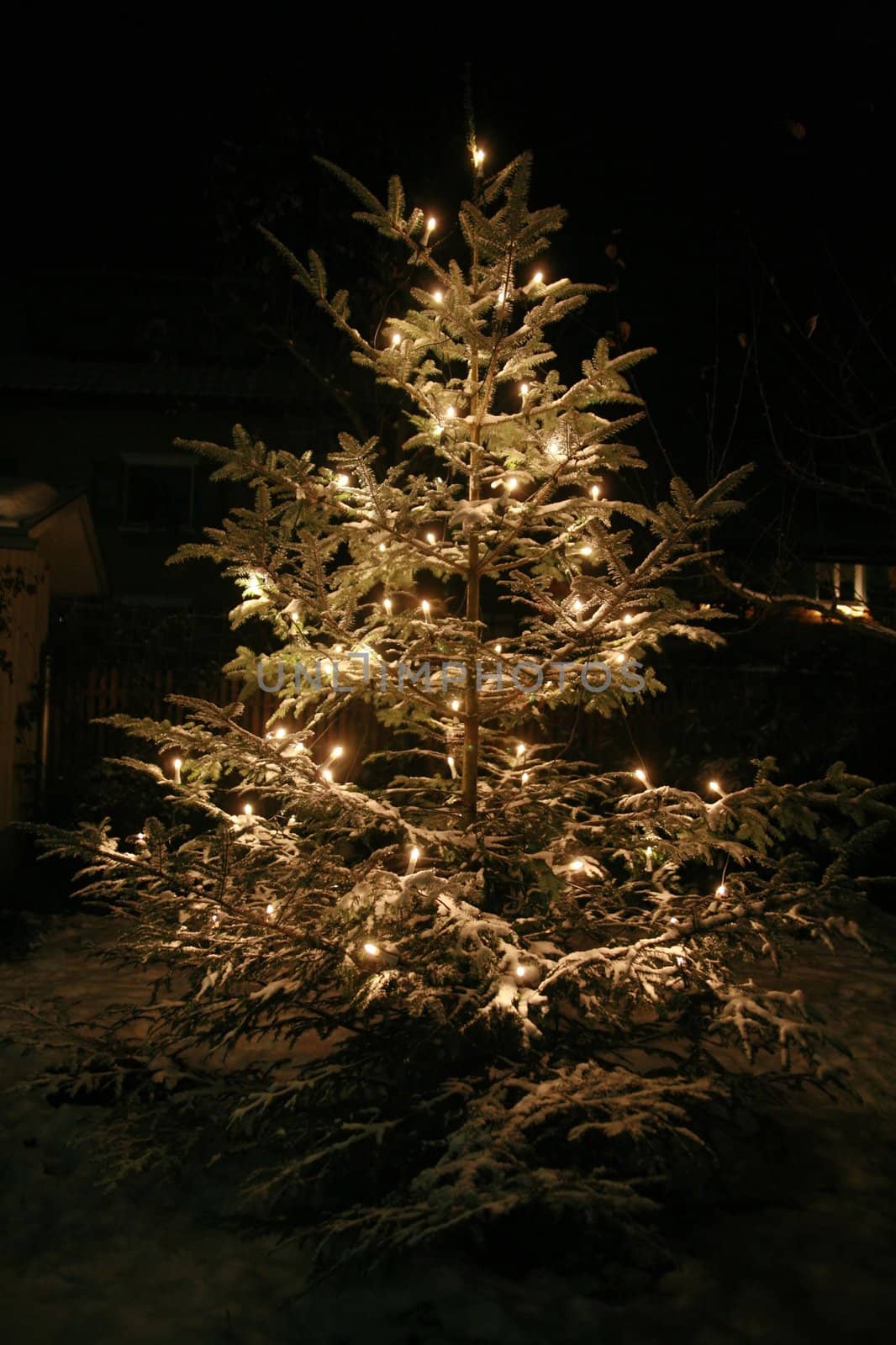 xmastree at night with snow and electric candles, very shallow DOF!............