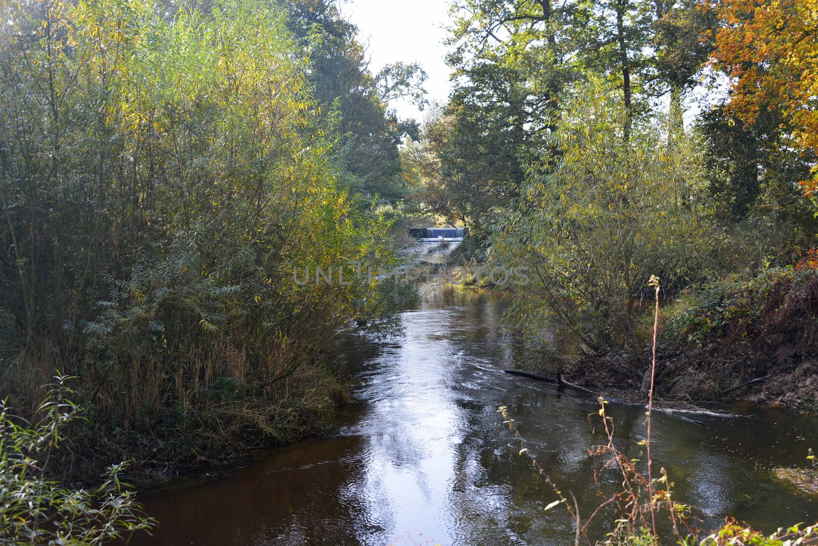 autumn landscape in holland with small river 