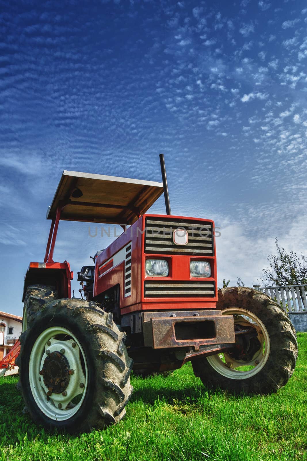 Red tractor on the meadow by avalon1973