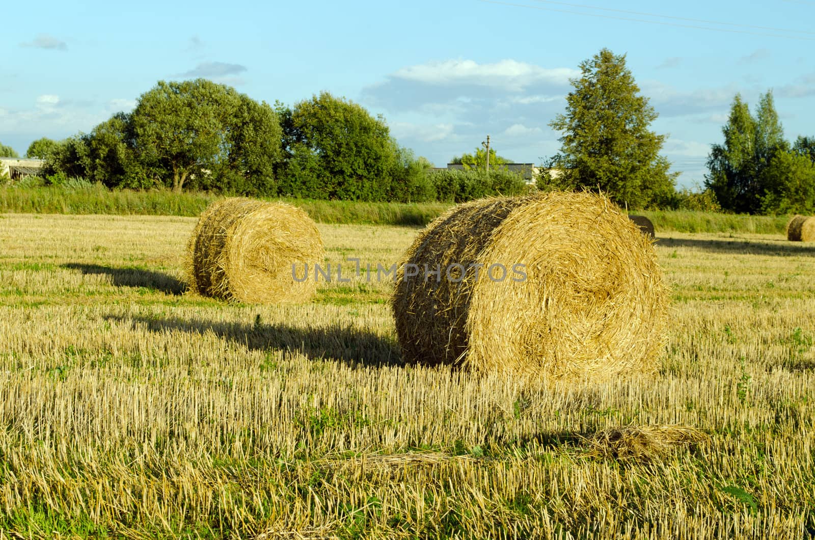 Straw bales shadows in harvested agricultural field in autumn