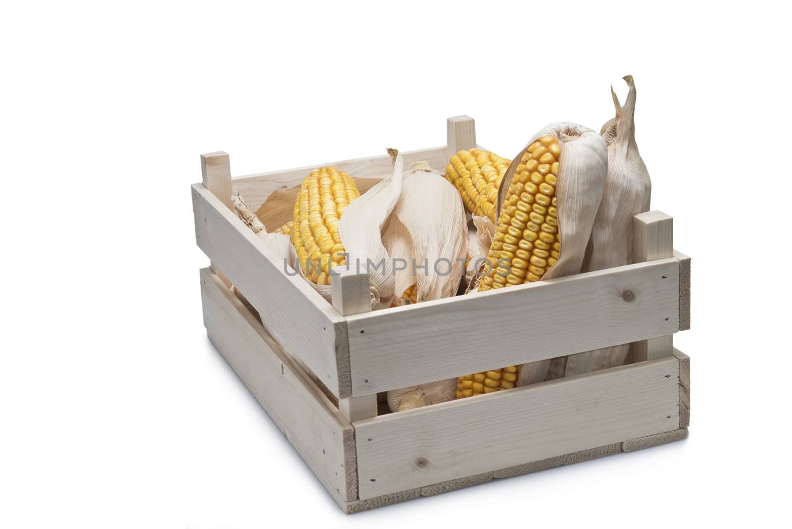 Wooden crate full of corn ears isolated on a white background