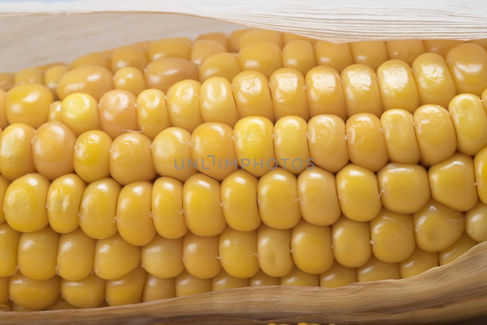 Closeup from some dried corn ears showing the kernels with good detail