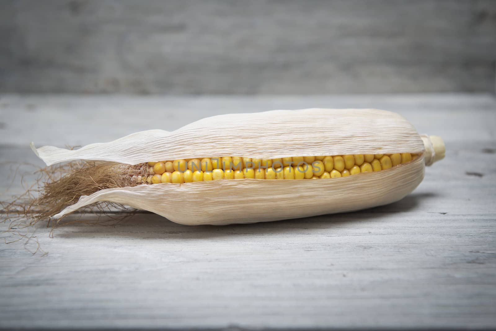 Dried corn ear on an old wooden background