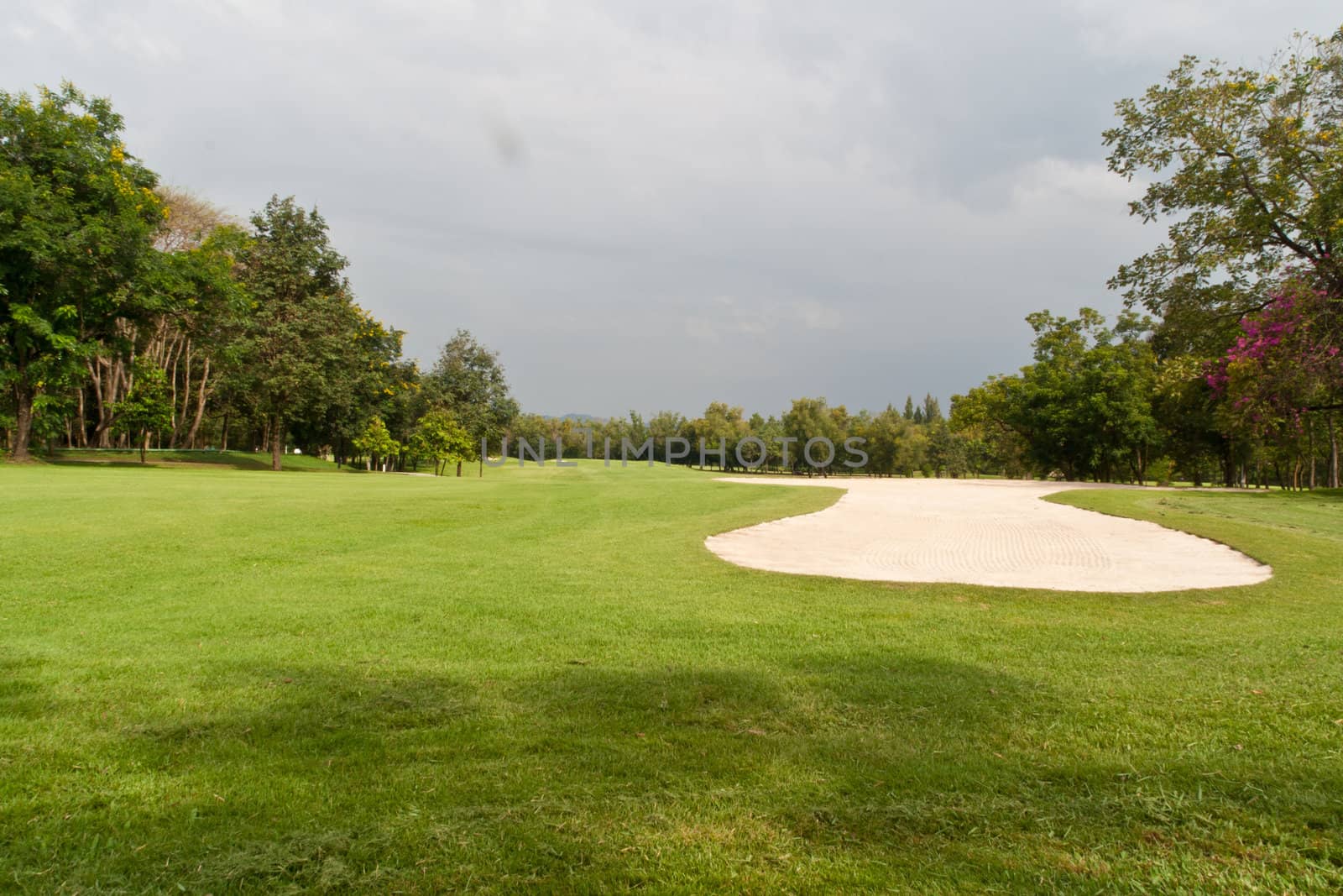The golf course, grass and sand on blue sky.