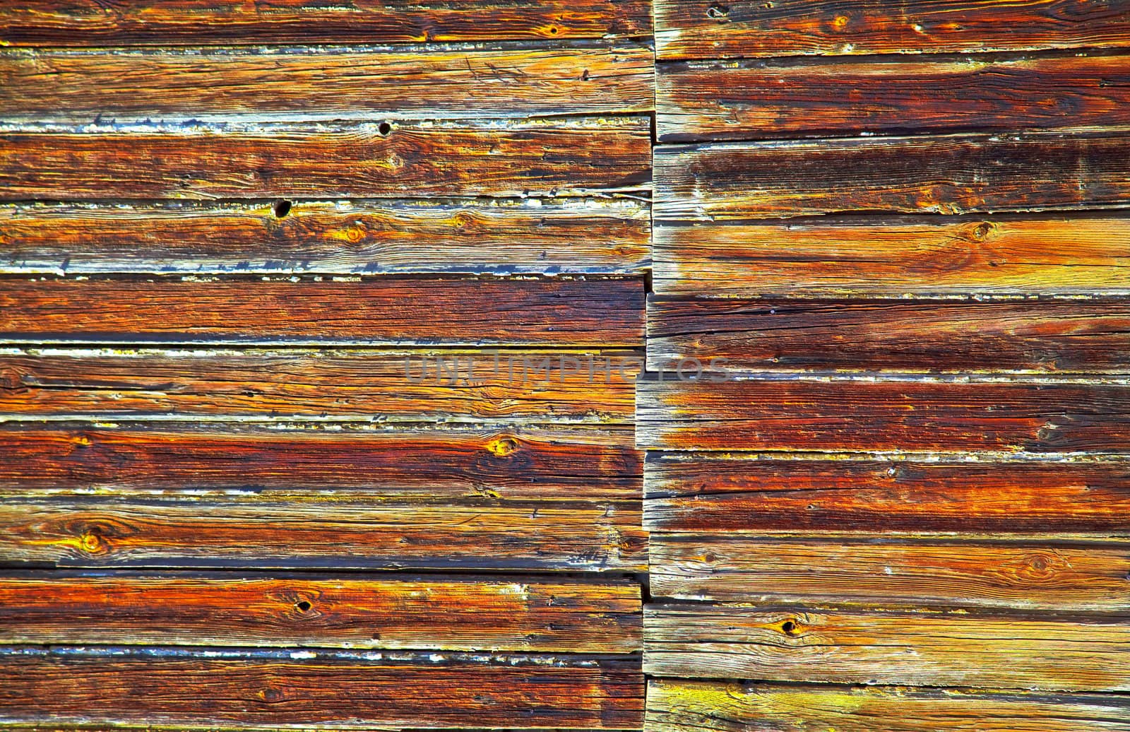 wood texture by Oledjio
