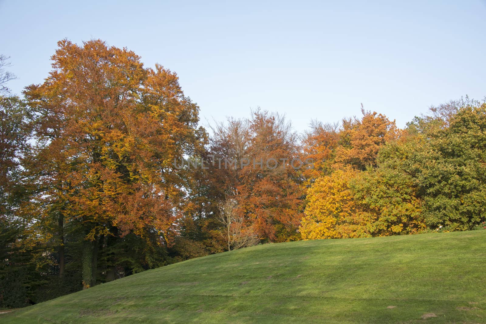 landscape in autumn collors