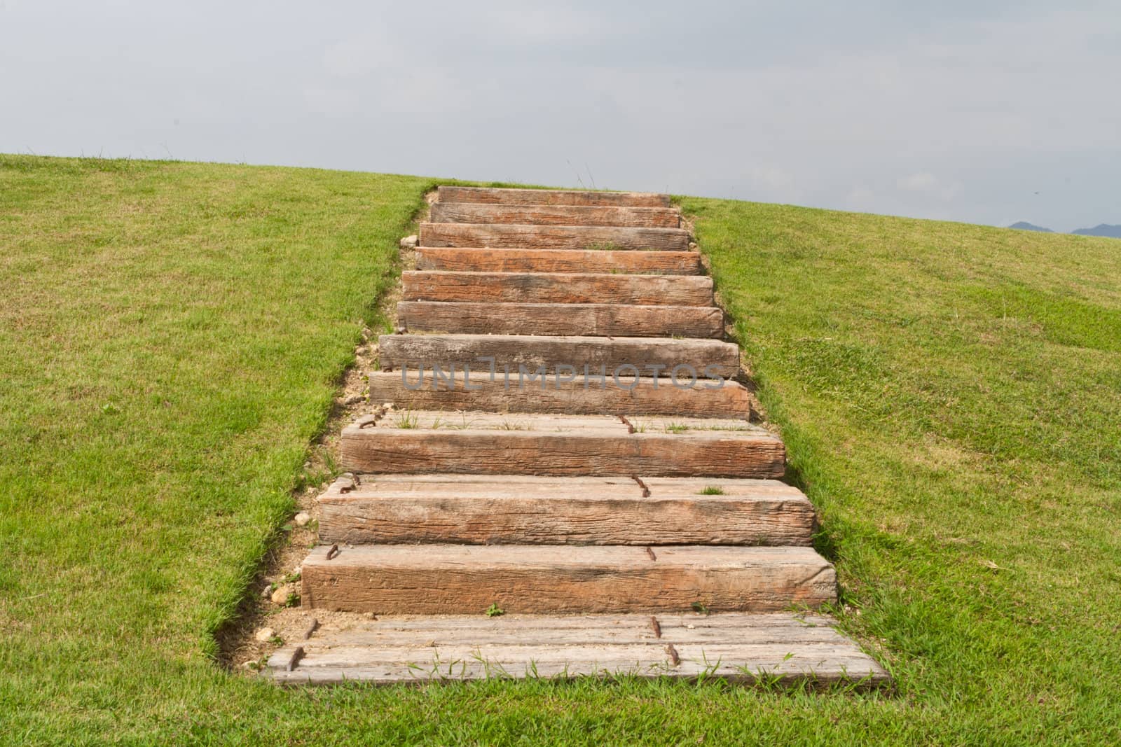 Stone steps on green grass into the sky.