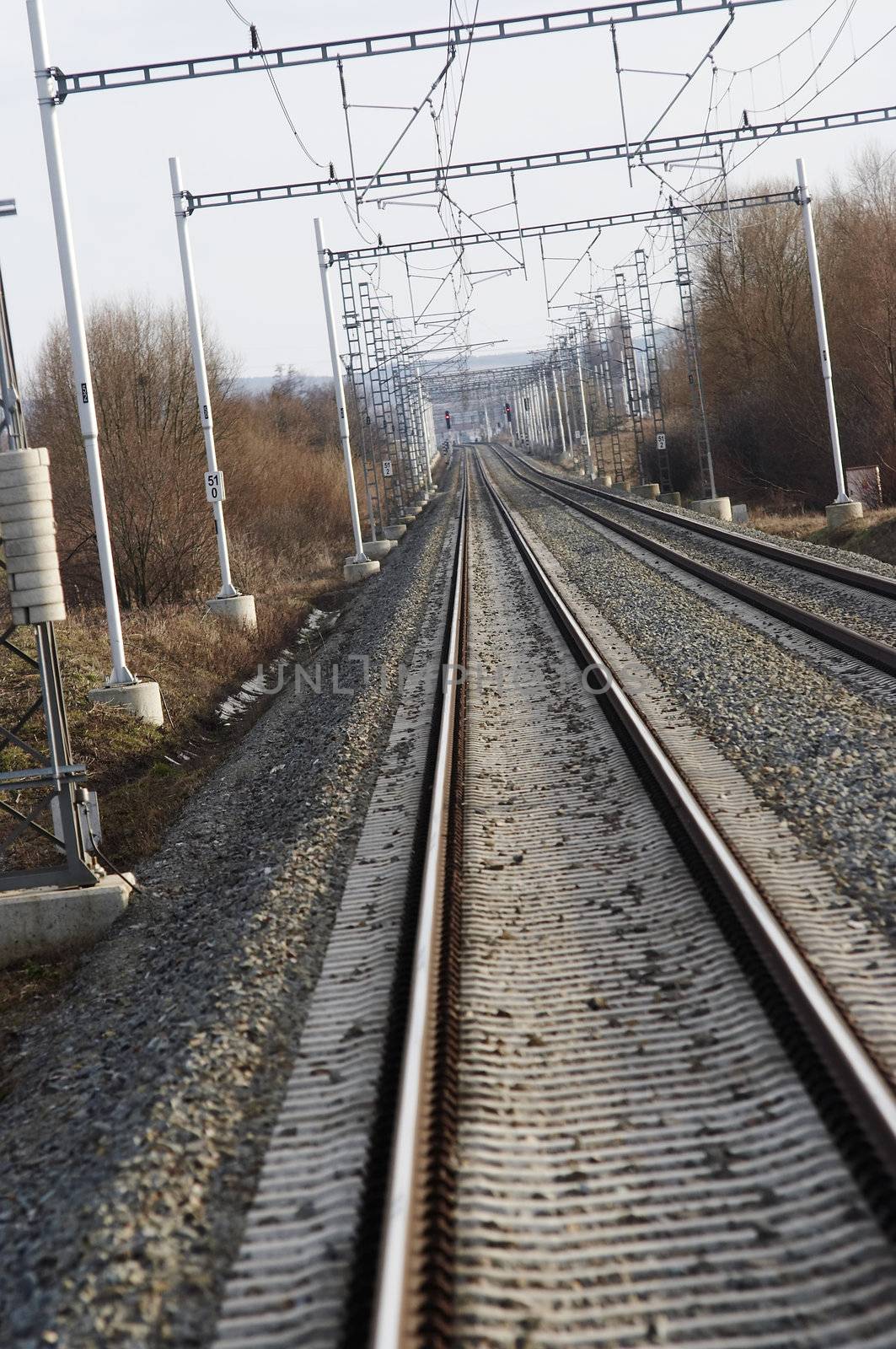 rails by Mibuch
