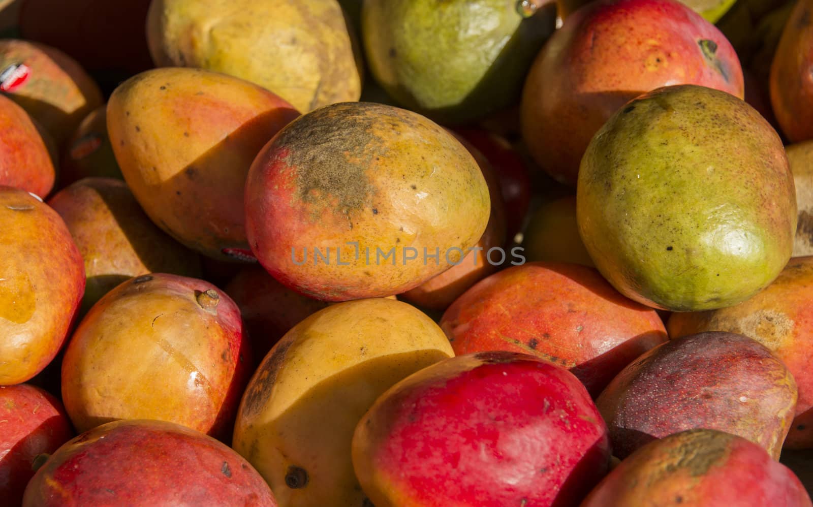 mangos with yellow green and red parts