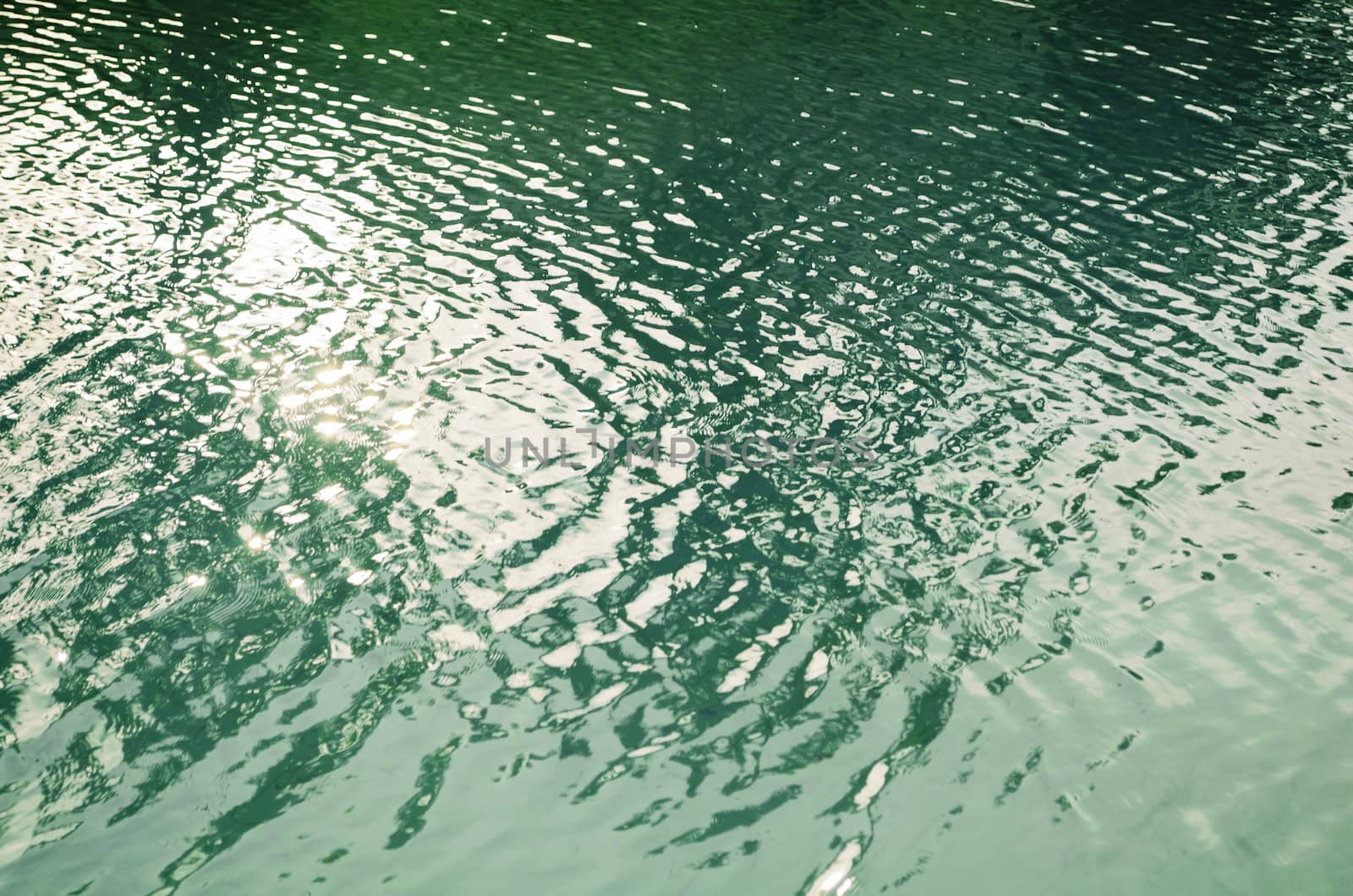 Sun reflecting on ripples of green pool water
