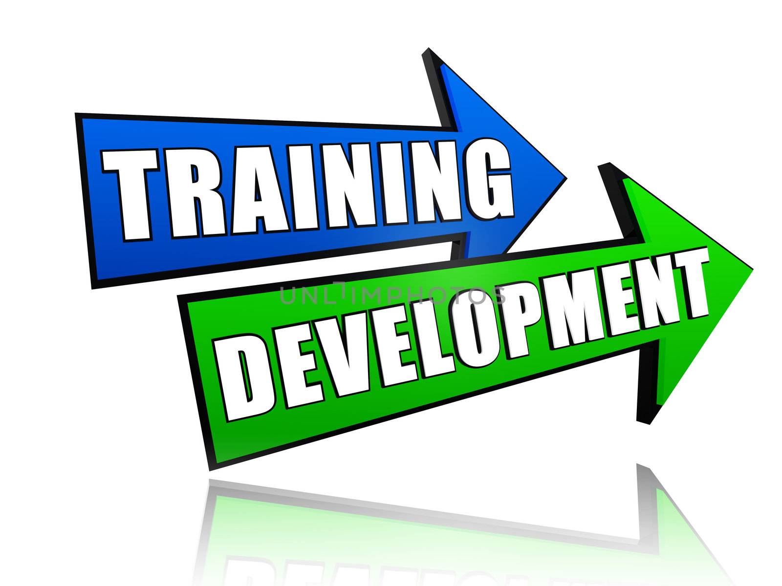 text training development in 3d colored arrows, business concept