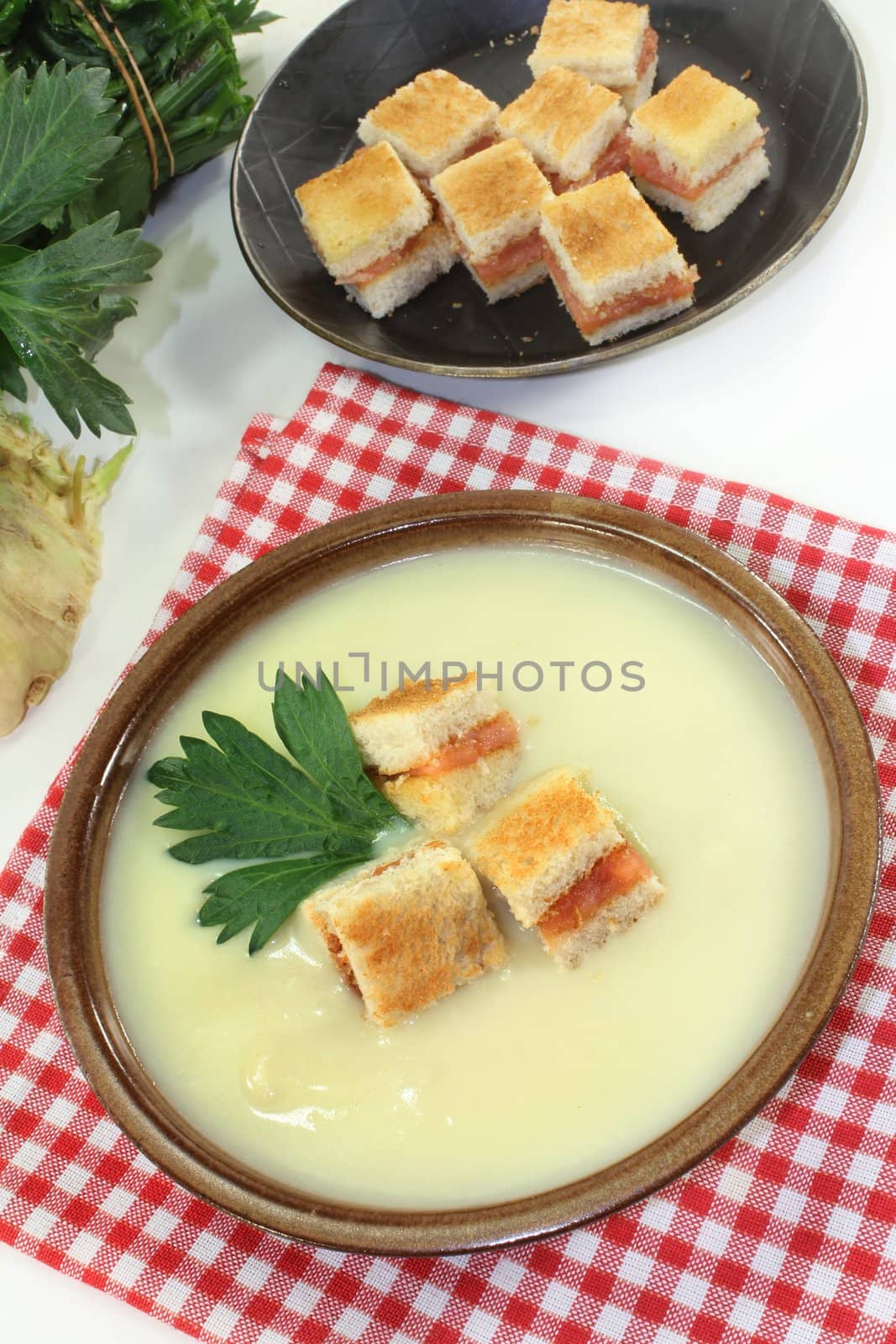 Cream of celery soup by silencefoto
