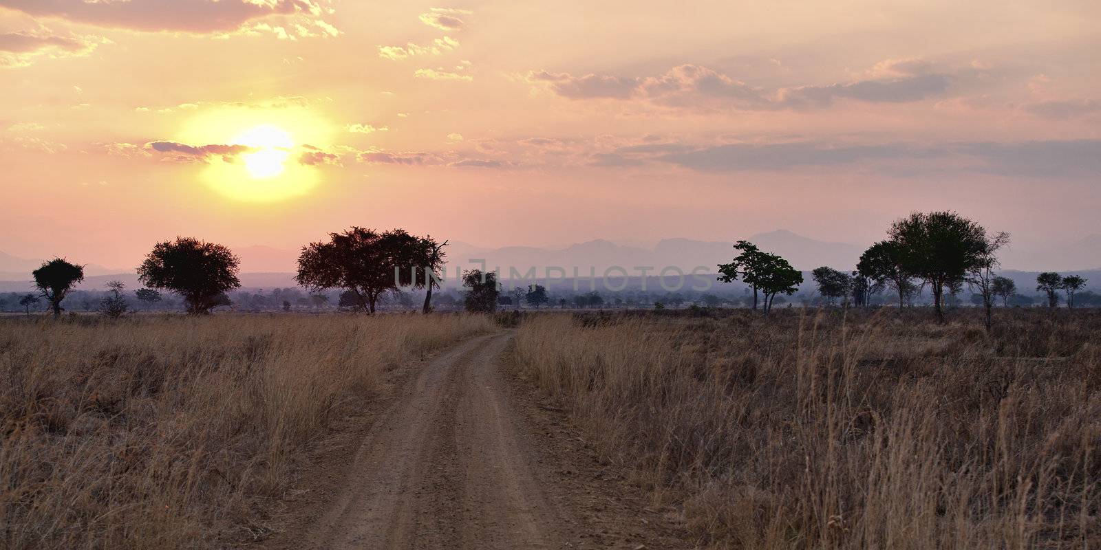 Sunset over the dry African Savannah, Mikumi, Tanzania