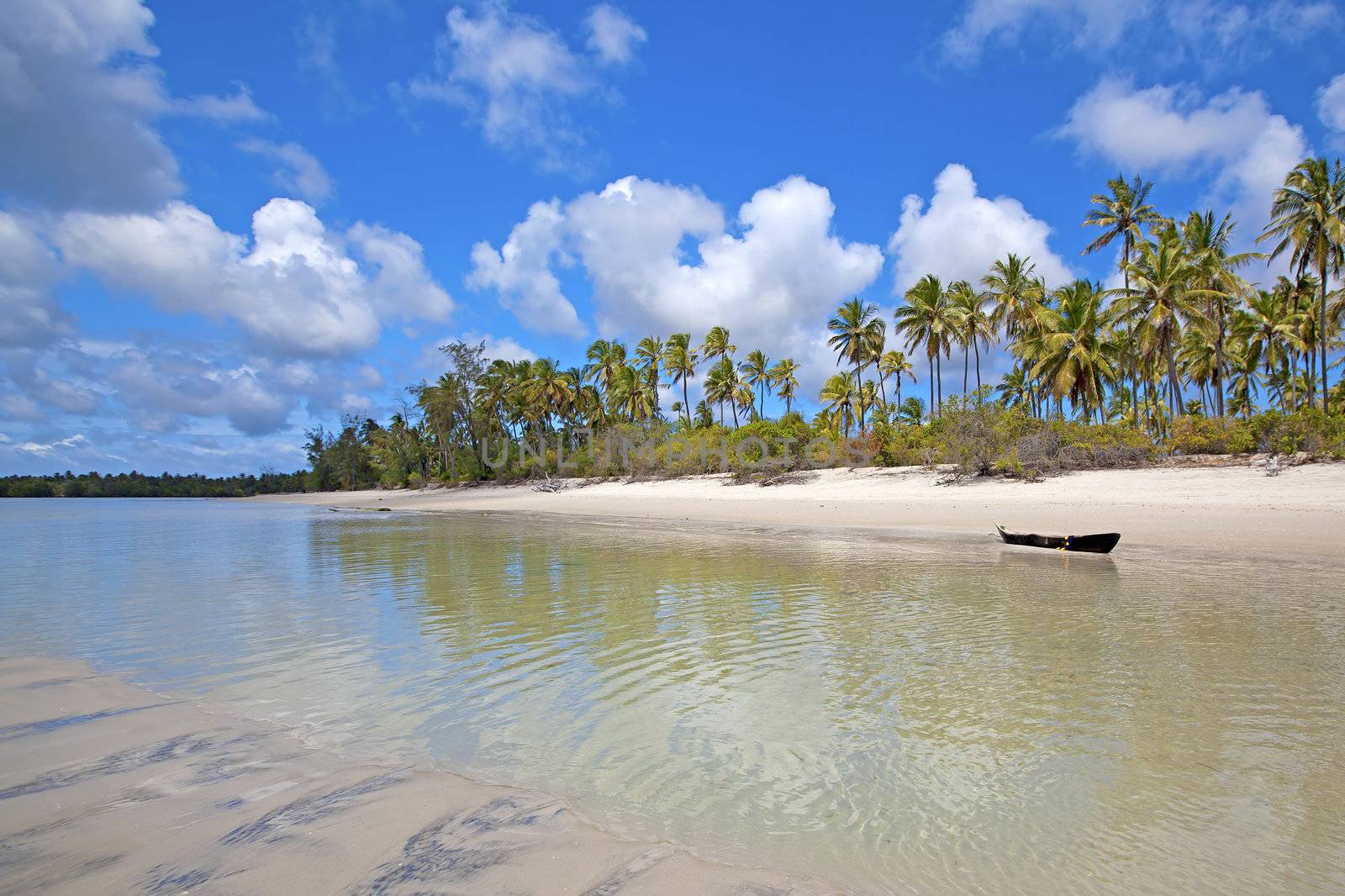 Untouched nature at Mafia Island in Tanzania