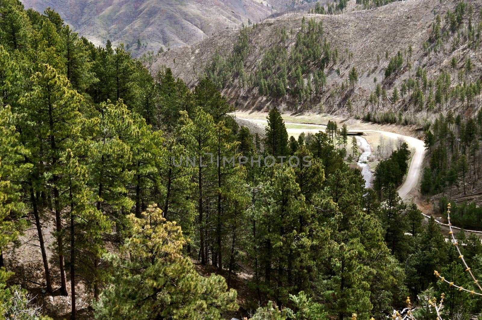 Deadwood hills and road by RefocusPhoto