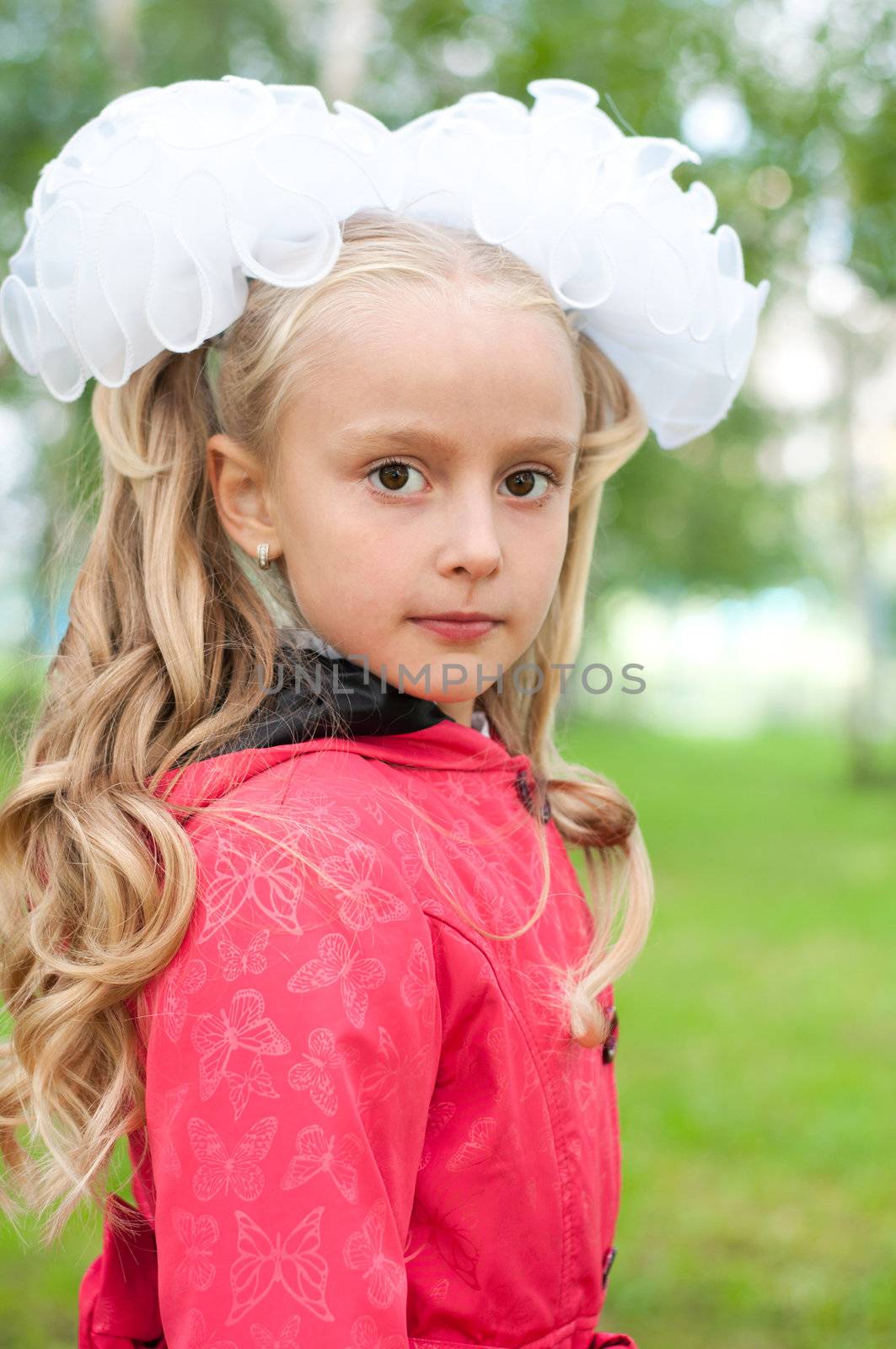 Schoolgirl dressed in a birch forest by olgavolodina