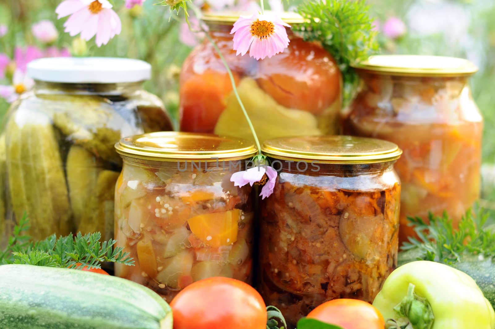 Home canning, canned vegetables by olgavolodina