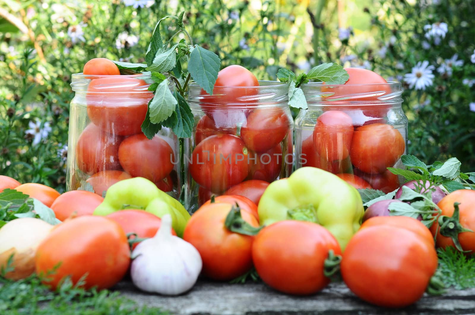 Canning tomatoes at home by olgavolodina