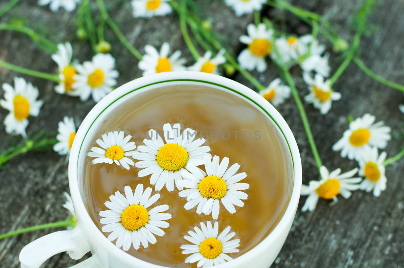 Herbal tea of chamomile flowers by olgavolodina