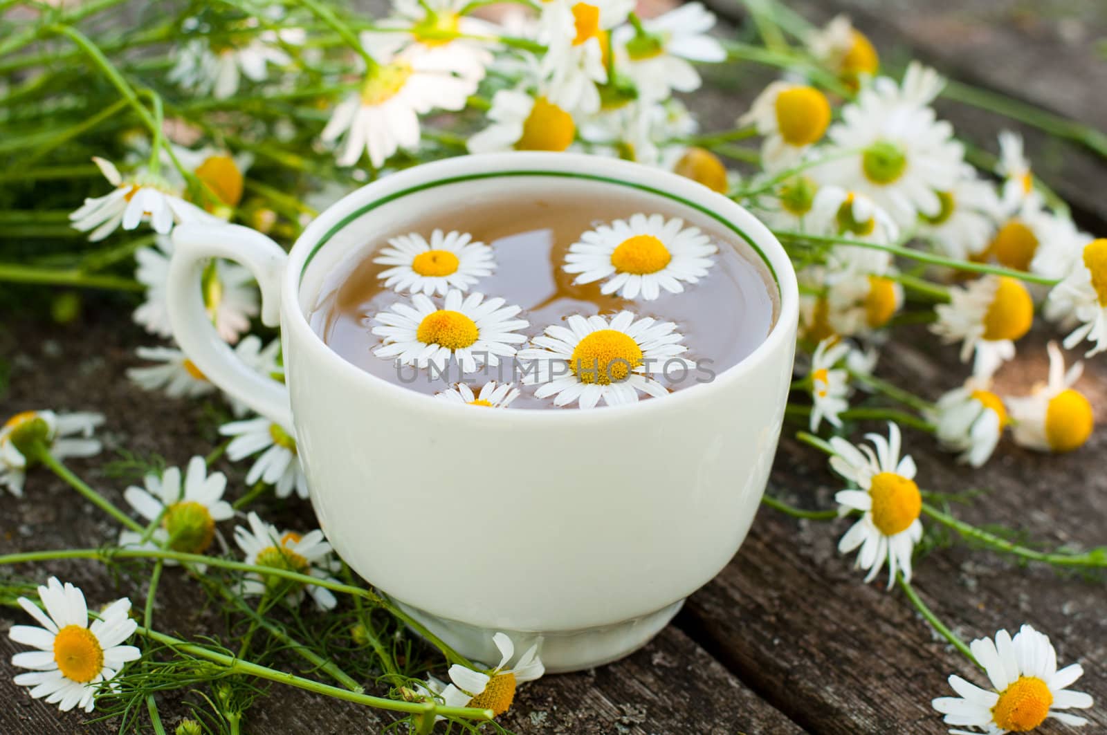 Herbal tea of chamomile flowers by olgavolodina
