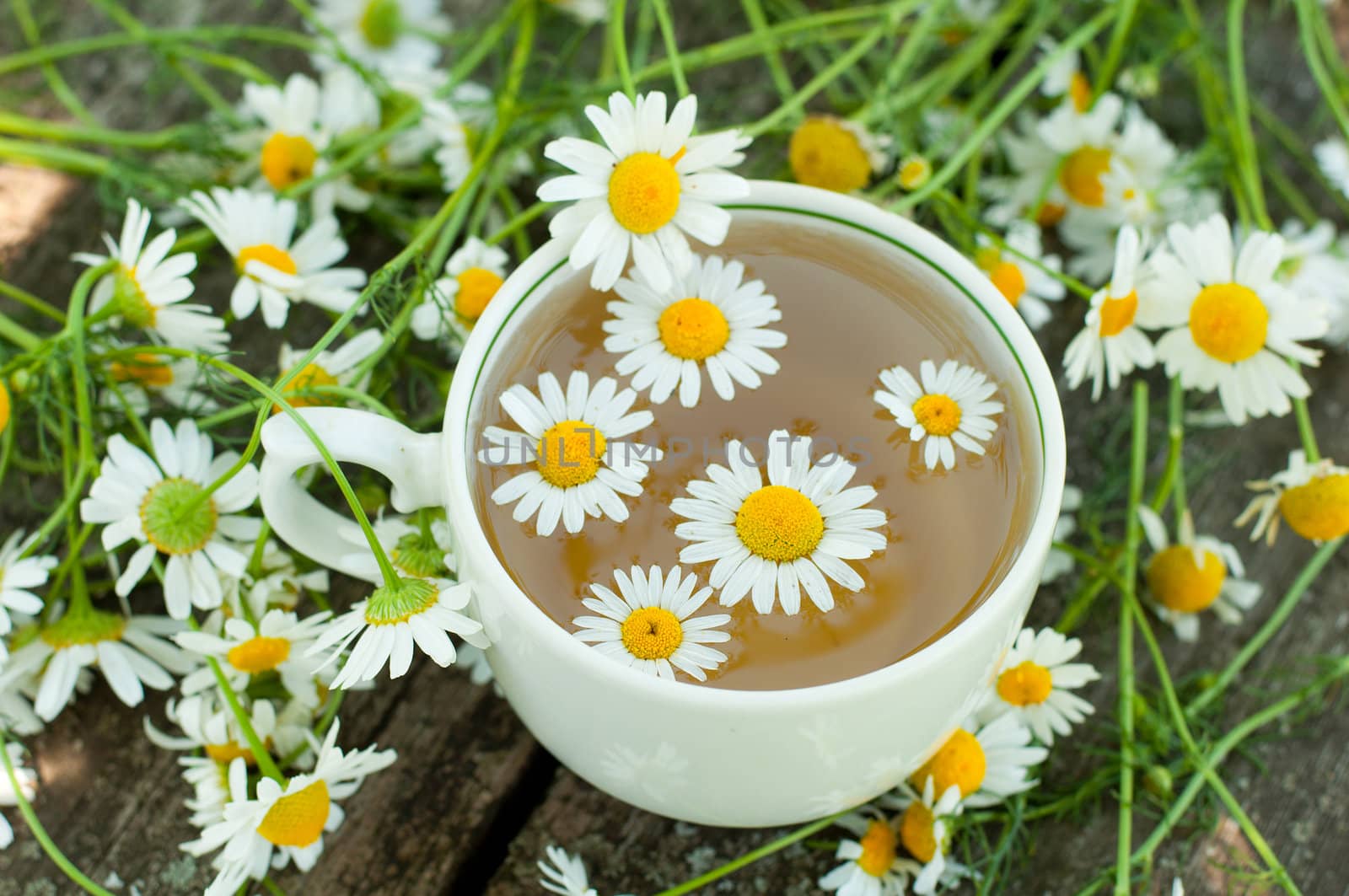 Herbal tea of chamomile flowers by olgavolodina