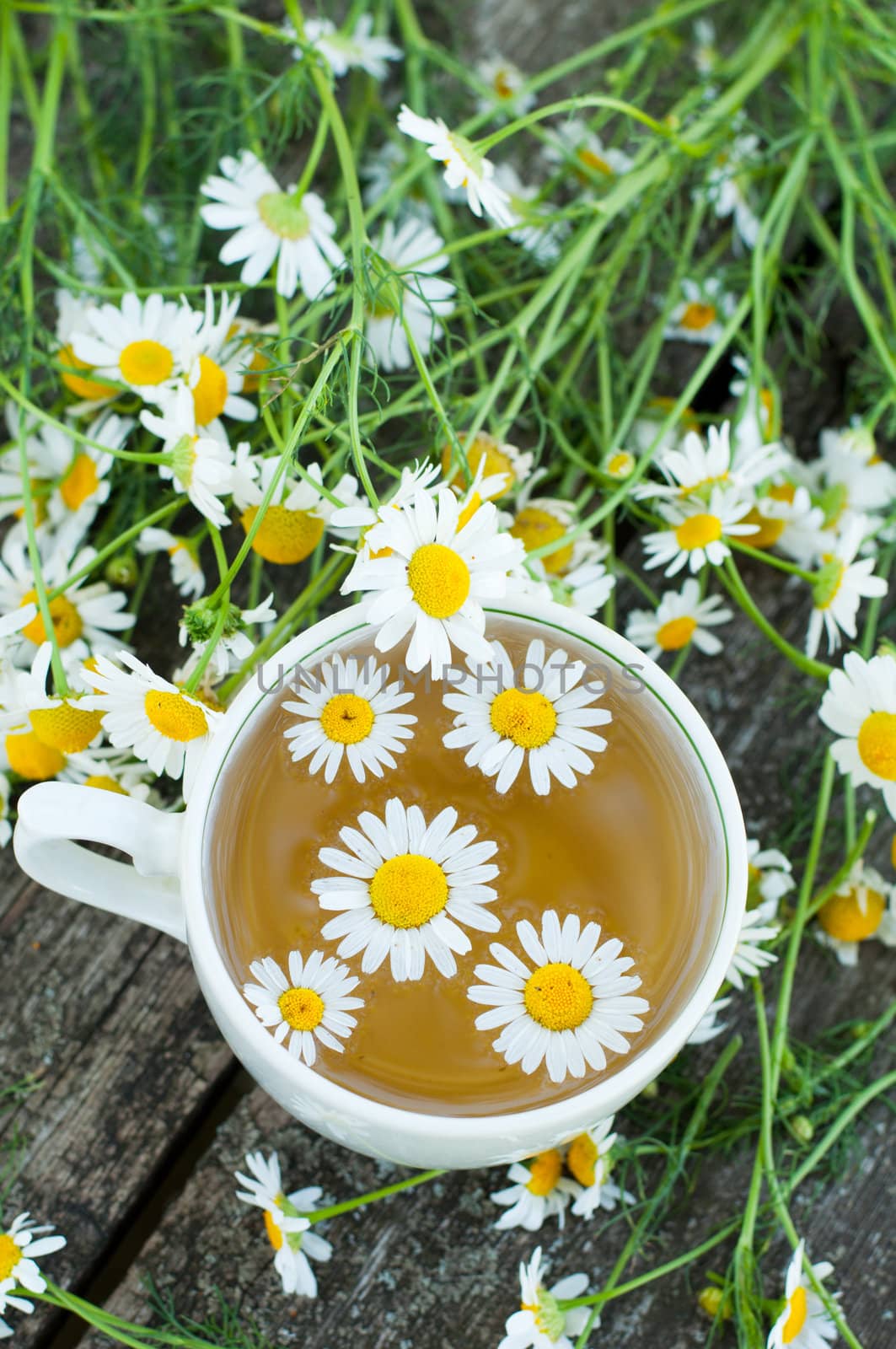 Herbal tea of chamomile flowers