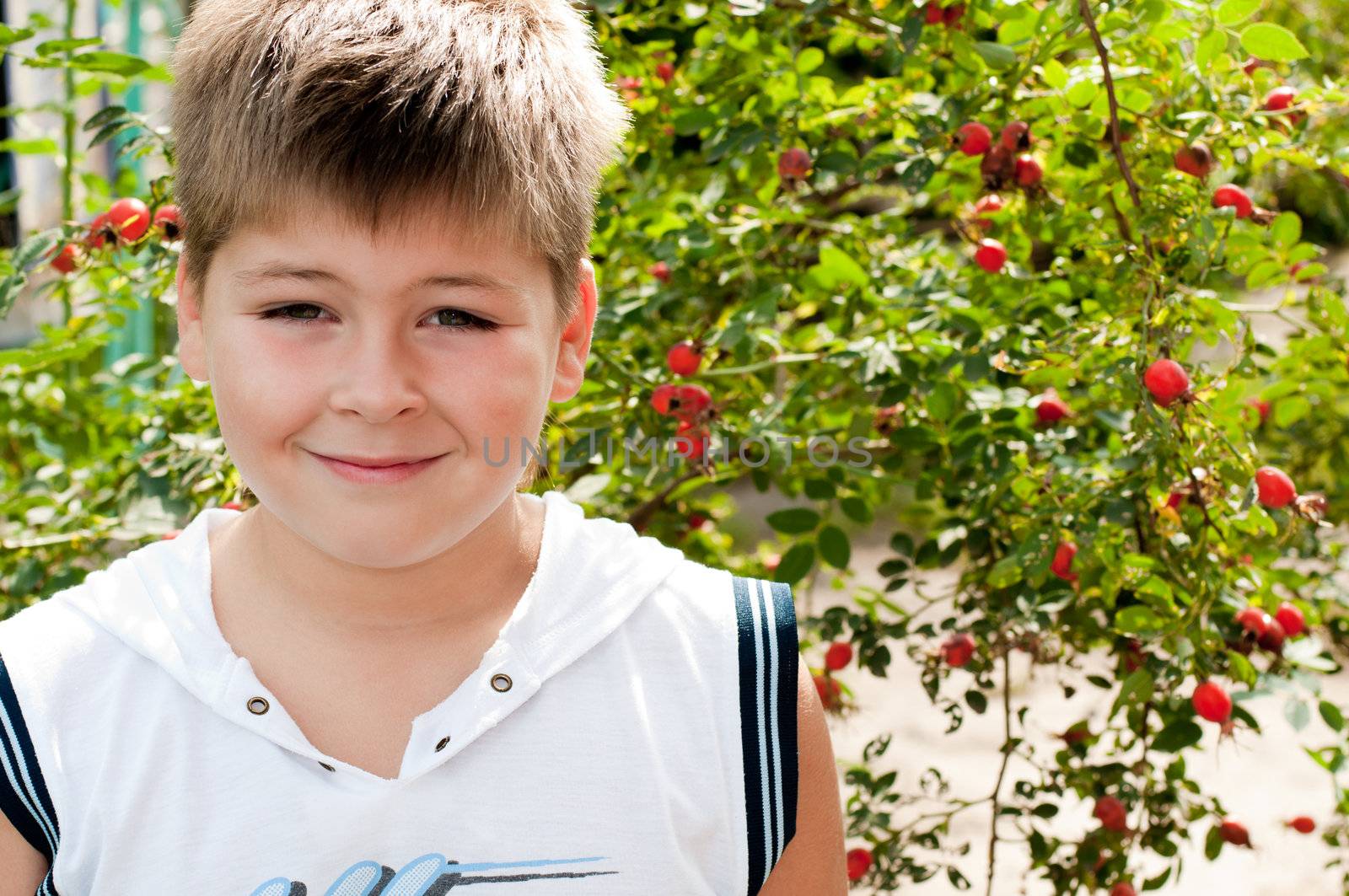 A boy of about rosehip with ripe fruits by olgavolodina