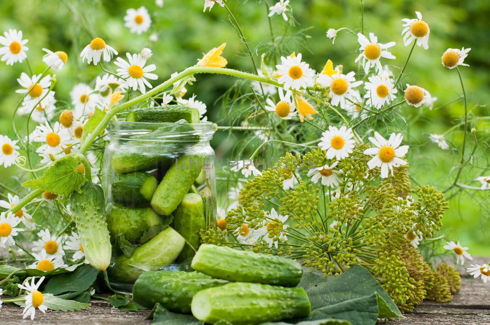 Canning cucumbers at home