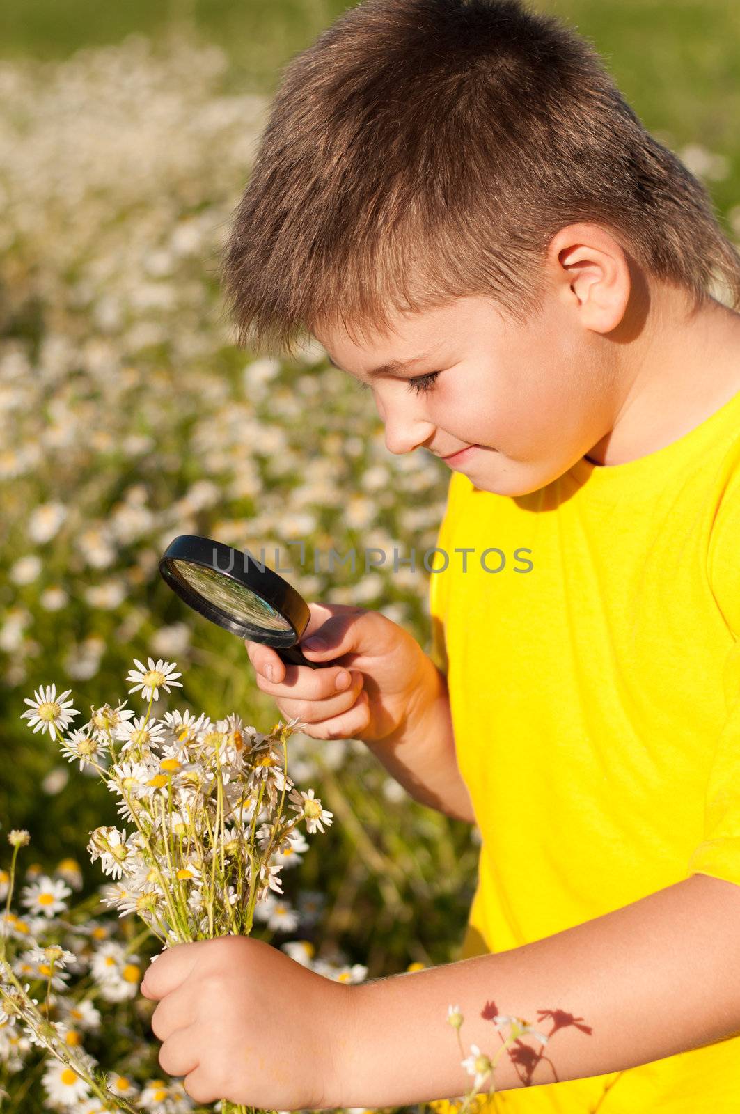 Boy sees flowers through magnifying glass by olgavolodina