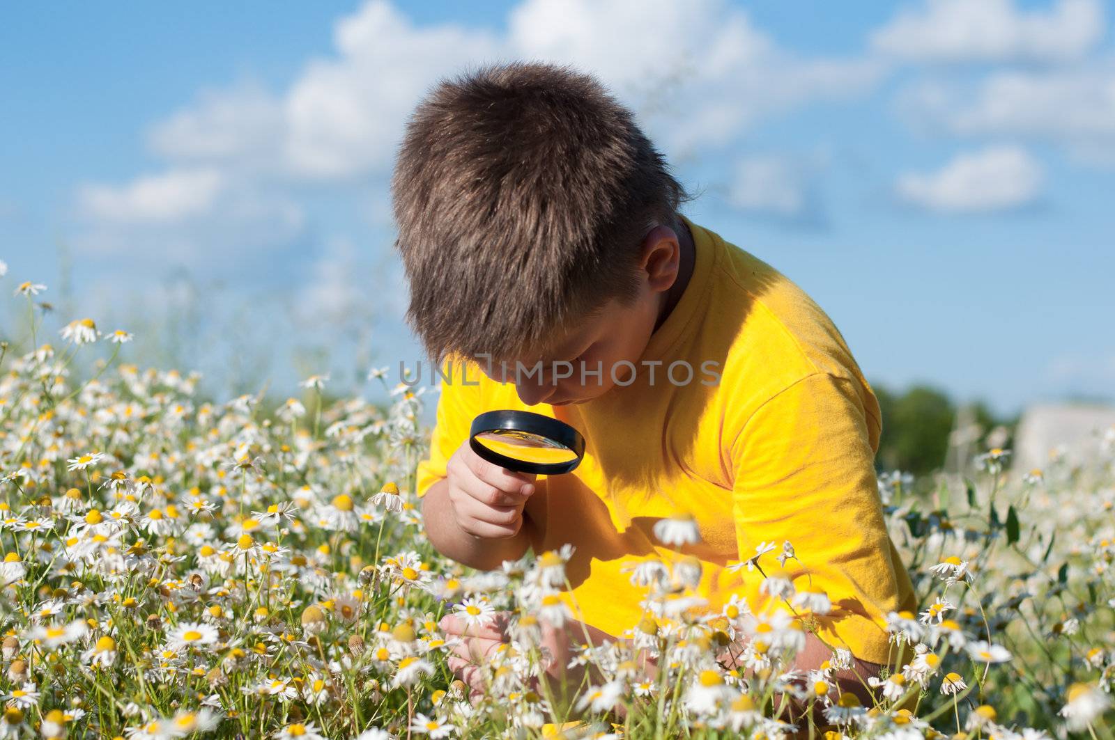 Boy sees flowers through magnifying glass by olgavolodina