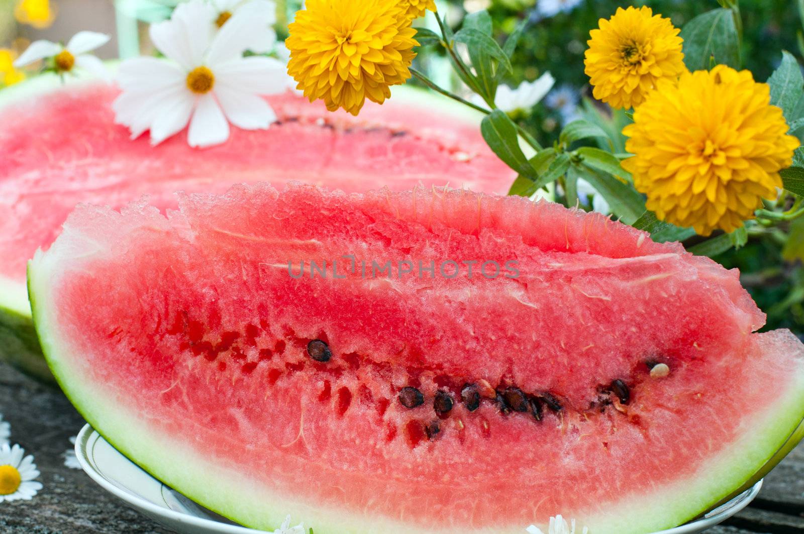 Appetizing ripe watermelon on the table by olgavolodina