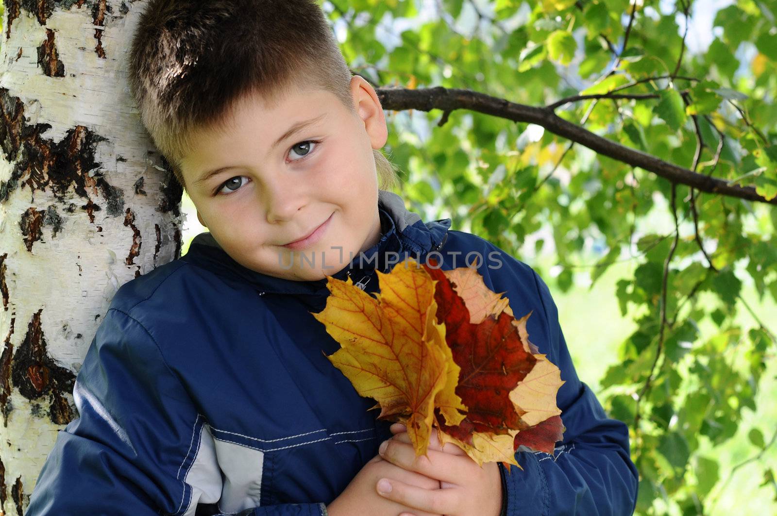 Boy near a tree in the park by olgavolodina