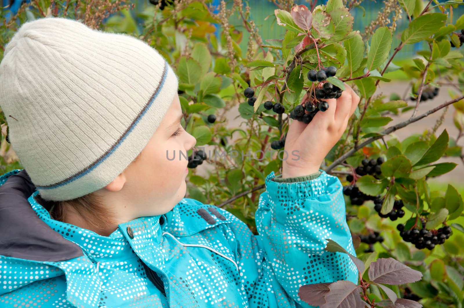 A boy with a sprig of Aronia