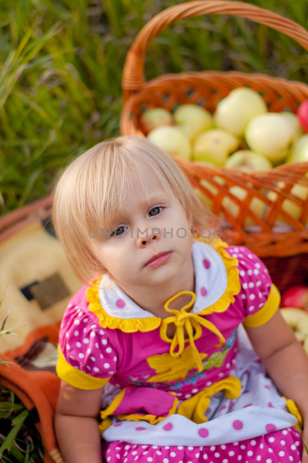 Little girl with a basket of fresh apples by olgavolodina